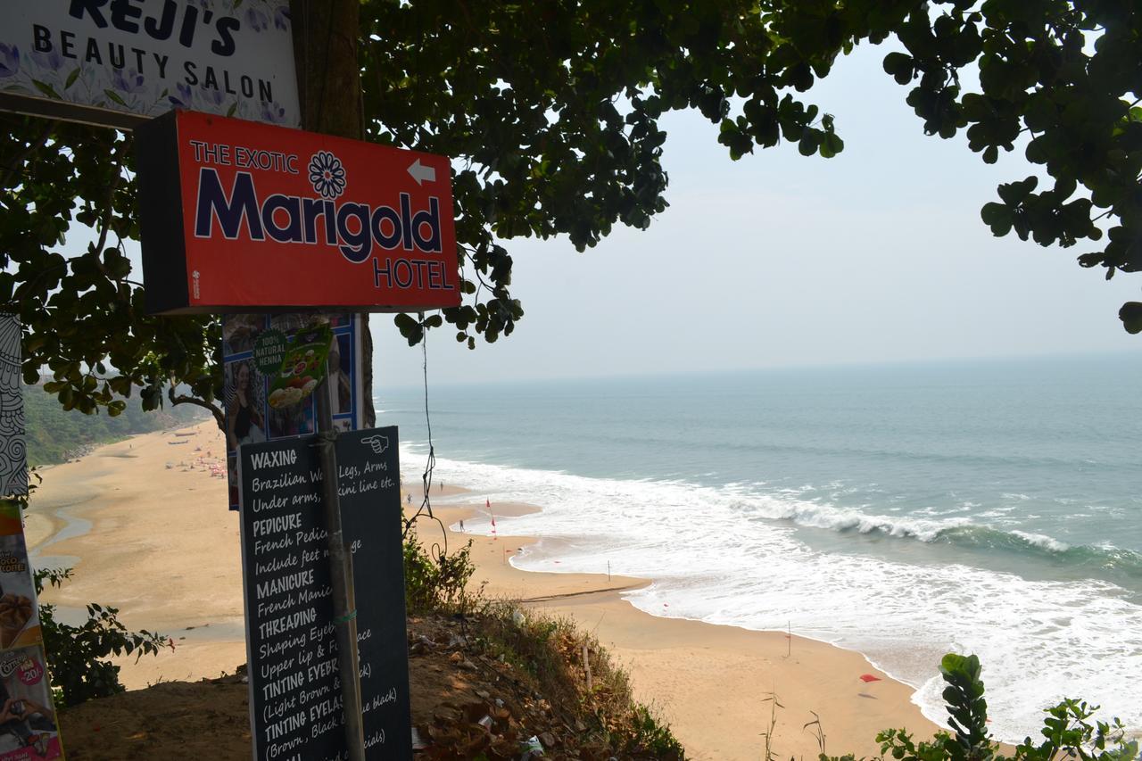 The Exotic Marigold Hotel バルカラ エクステリア 写真
